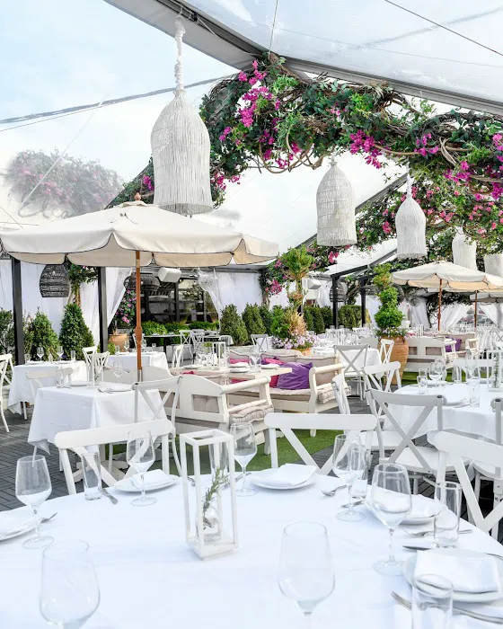 Elia Mediterranean Restaurant Picture 6
