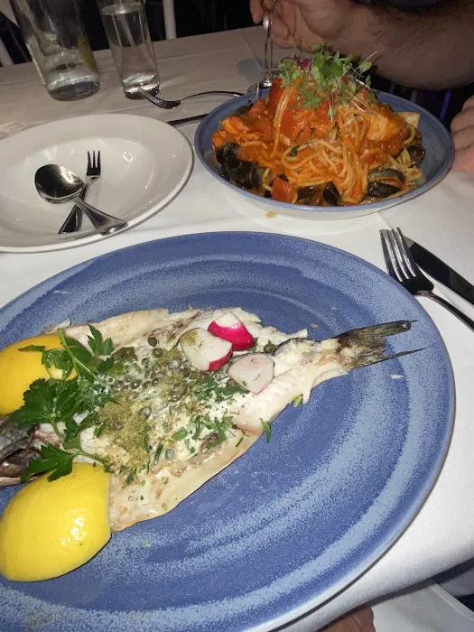 Elia Mediterranean Restaurant Picture 8
