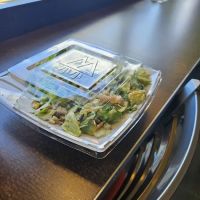 Saladworks ico