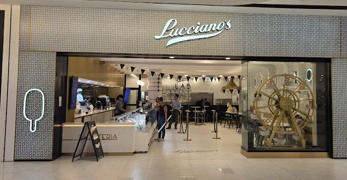 Lucciano's American Dream Picture 5