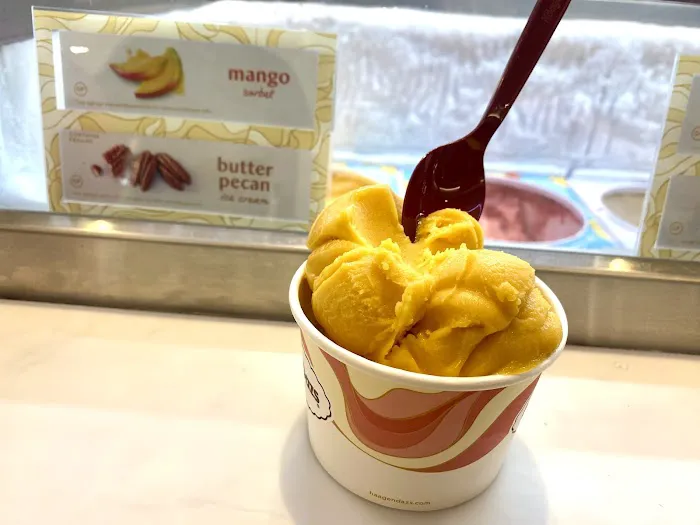 Häagen-Dazs Picture 4
