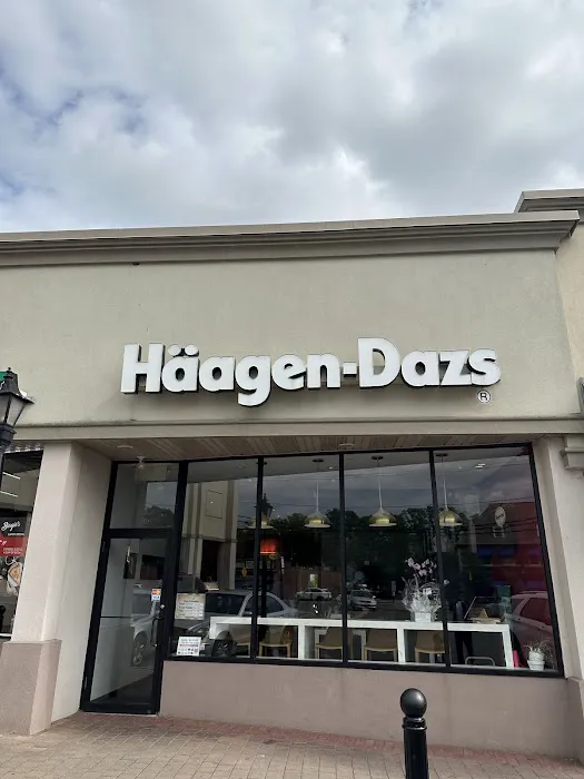 Häagen-Dazs Ice Cream Shops Picture 5