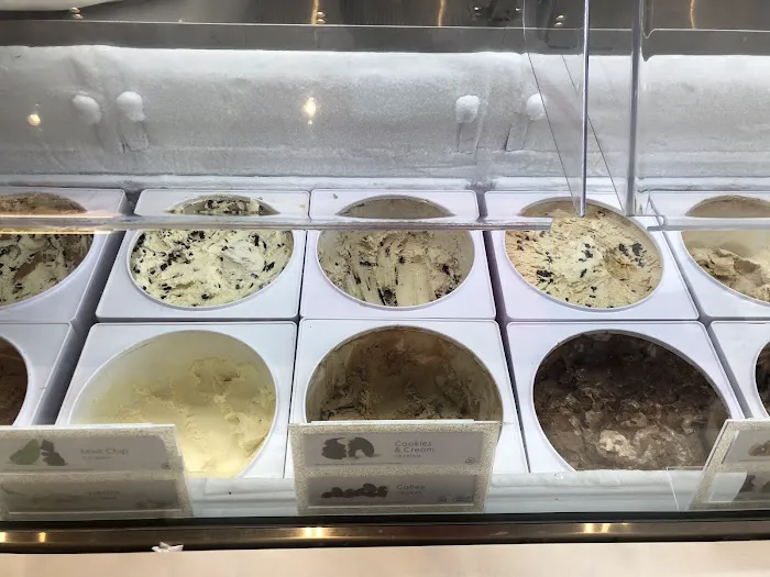 Häagen-Dazs Ice Cream Shops Picture 6