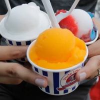 Uncle Louie G's Italian Ice & Ice Cream ico