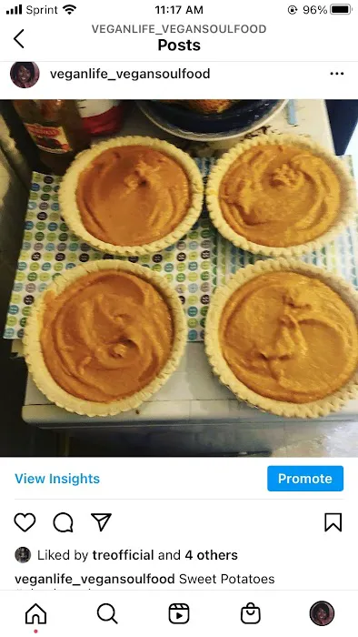Vegan Soulfood Catering Picture 5
