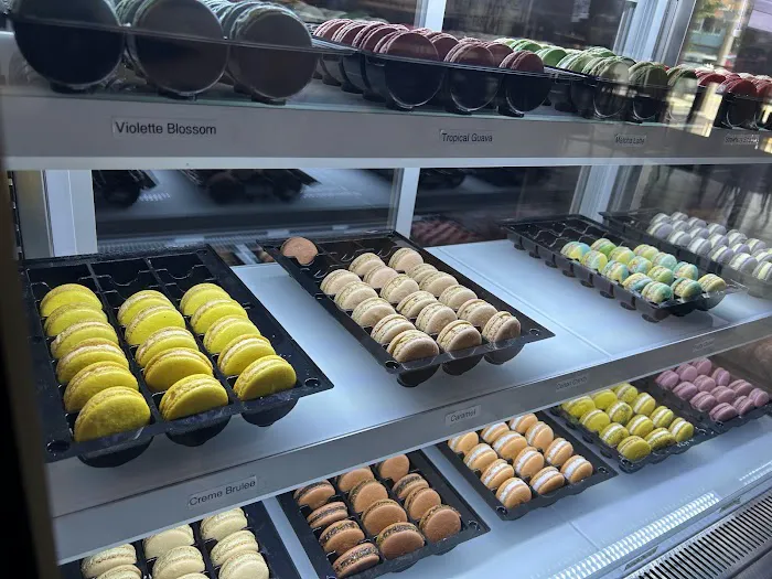 Steven's Cafe Picture 6