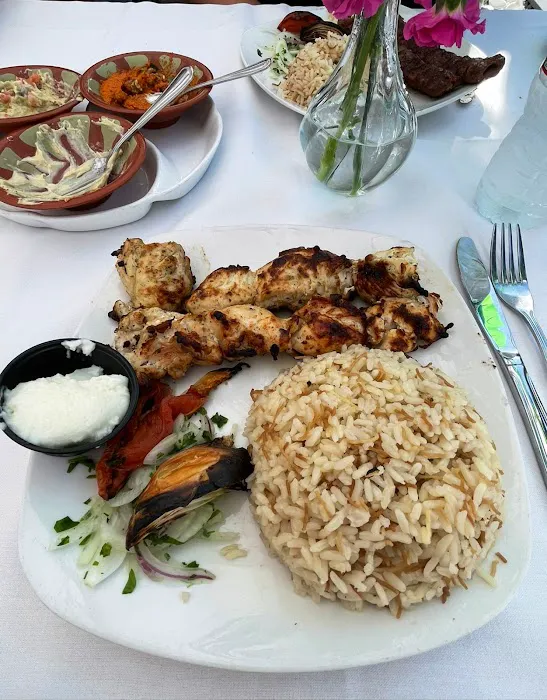 Yasmeen Mediterranean Cuisine Picture 8