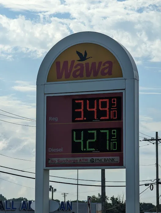 Wawa Picture 10