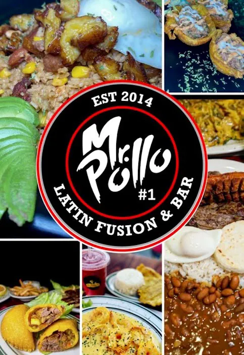 Mr Pollo #1 Picture 3