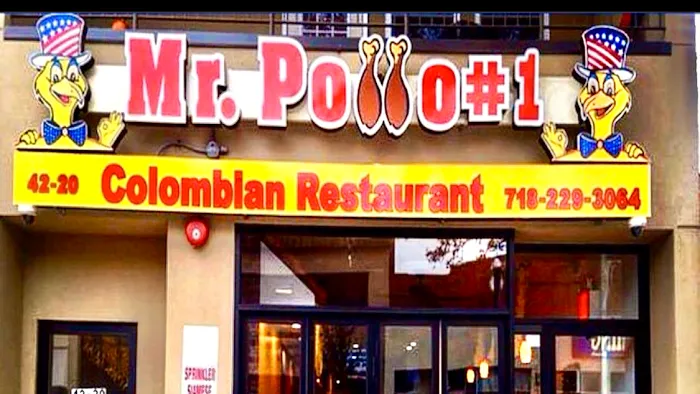 Mr Pollo #1 Picture 8