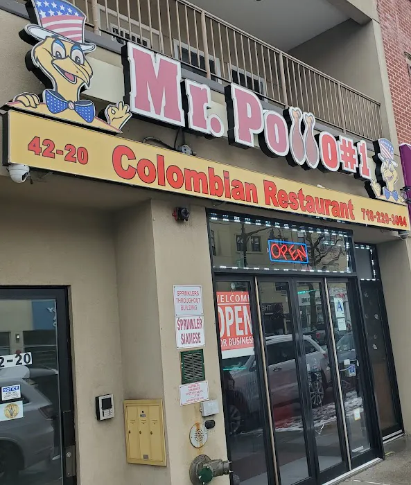 Mr Pollo #1 Picture 5
