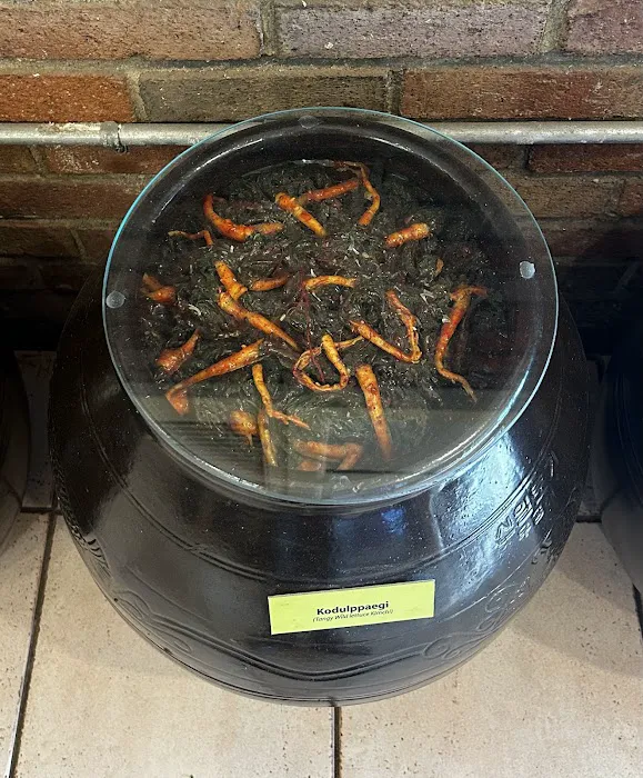 K Kimchi Picture 3