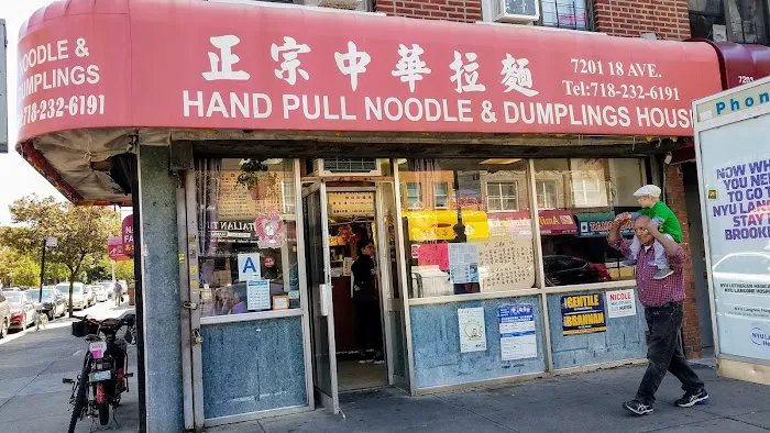 Hand Pull Noodle & Dumplings House Picture 4