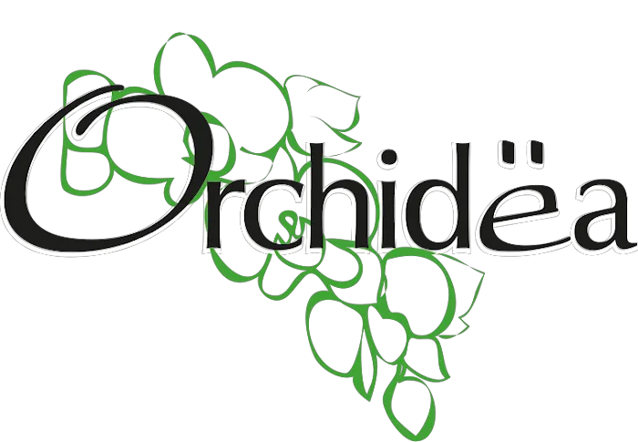 Orchidea Pizza / Juice Bar Picture 2