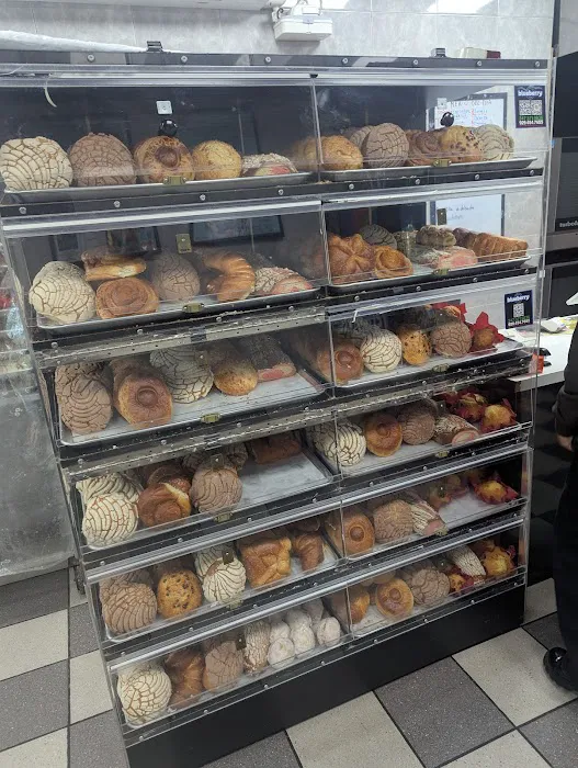 Blueberry Mexican Grill and Bakery Picture 2