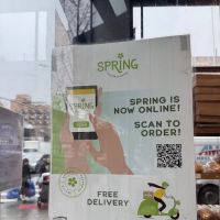 SPRING ico