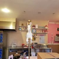 Sugar Coated Bakery ico