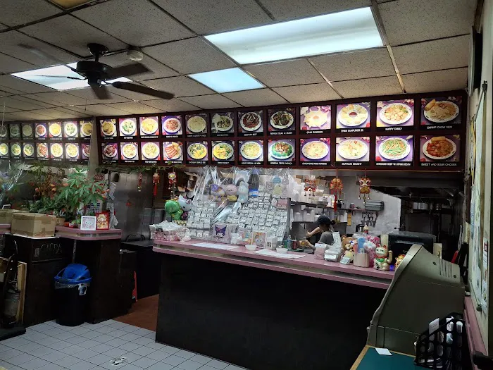 Fu Lai Chinese restaurant Picture 6