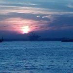 Pete's Brooklyn Eats