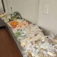 The Blue Dolphin Fish Market ico