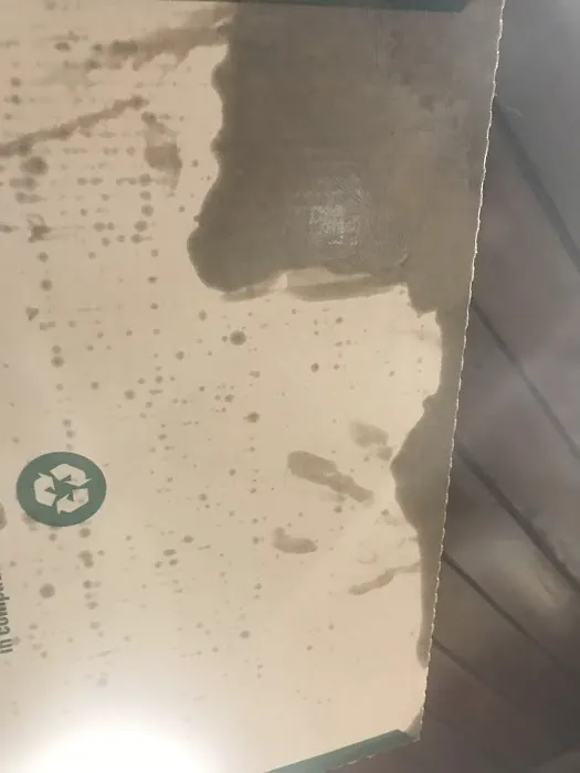 Papa Johns Pizza Picture 8