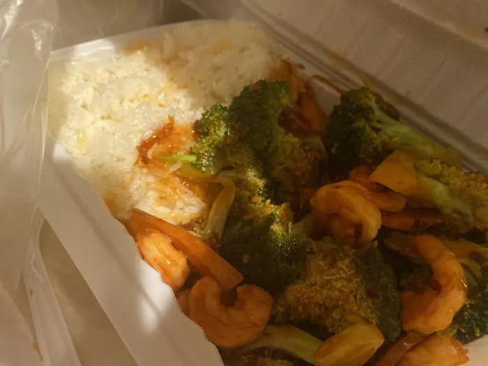 New Great Dragon Picture 4