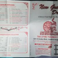 New Great Dragon ico