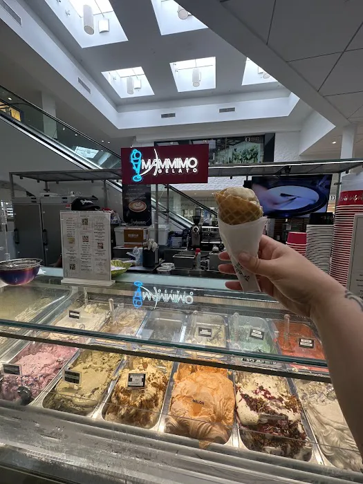 Mammimo Gelato Picture 7