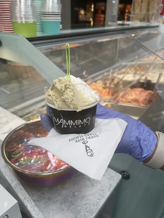 Mammimo Gelato Picture 8