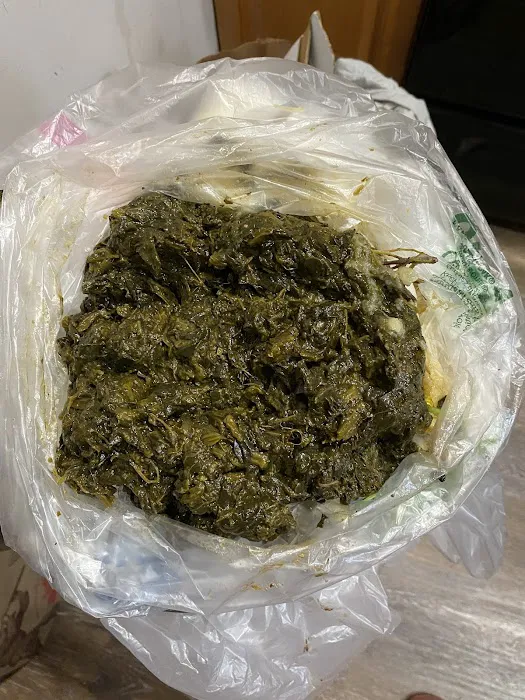 Creole Plate Picture 6