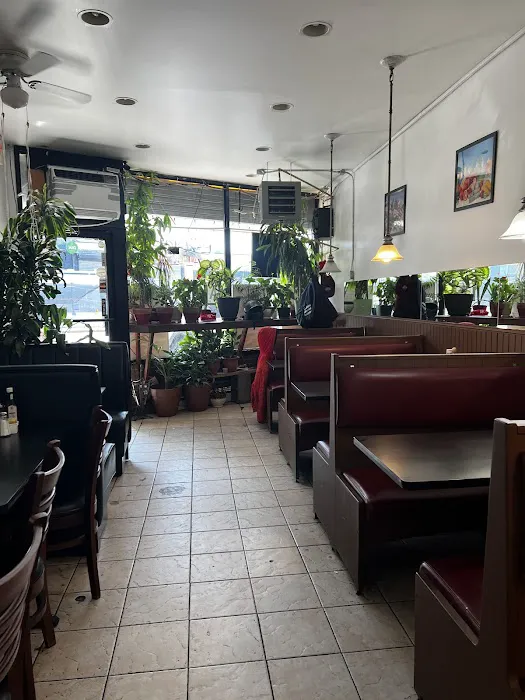 Stella's Coffee Shop Picture 5