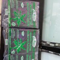 Tienda Guatemalteca El Chapin Corp. ico