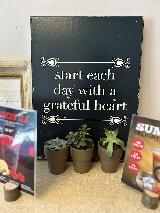 Fountain Of Youth Juice Bar Picture 6