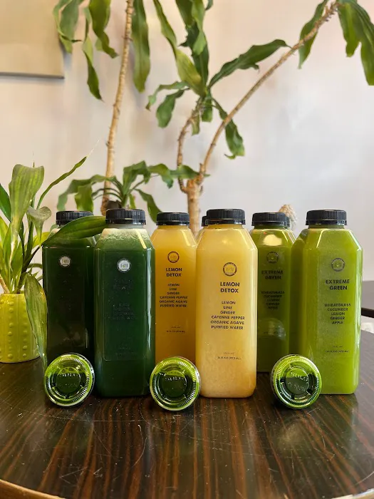 Fountain Of Youth Juice Bar Picture 1