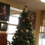 Francis Lewis Deli Bakery