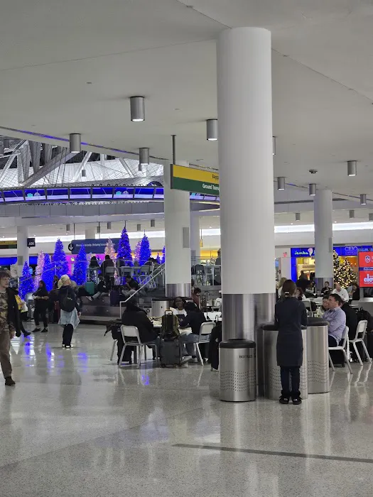 Caribbean Kitchen Picture 3