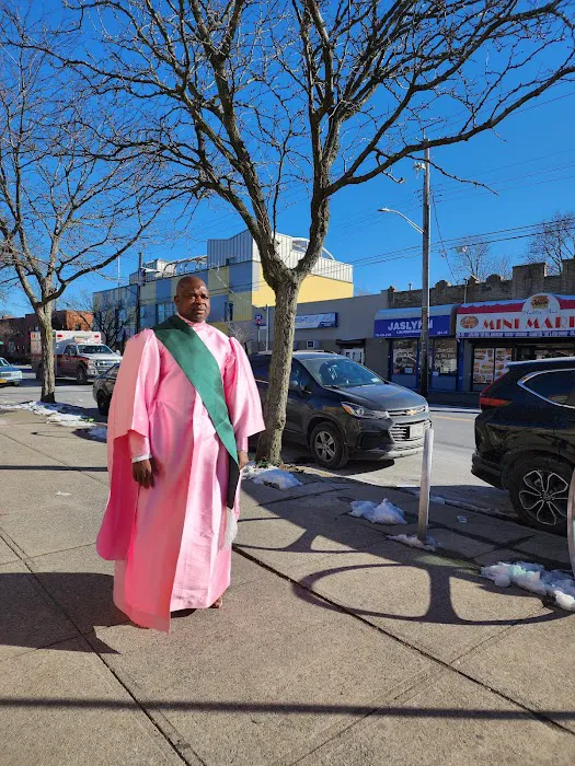 Hollis ave mini market Picture 5