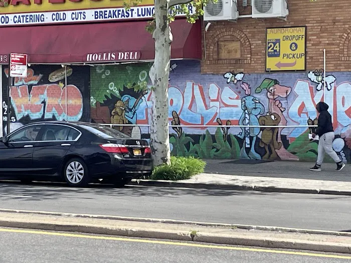 Hollis Deli and Grill Picture 8