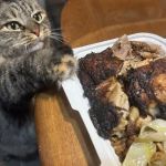 Caribbean America Cuisine