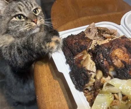 Caribbean America Cuisine