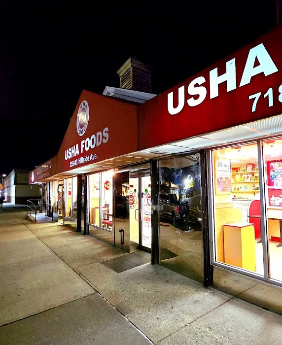 Usha Foods Picture 6