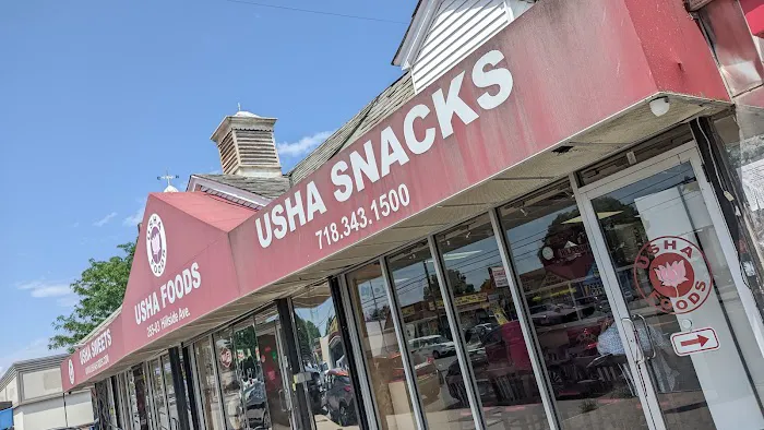 Usha Foods Picture 9