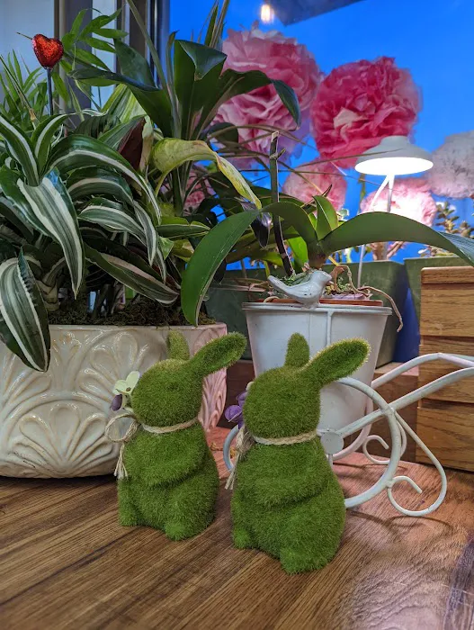 What a Bagel Cafe Picture 5