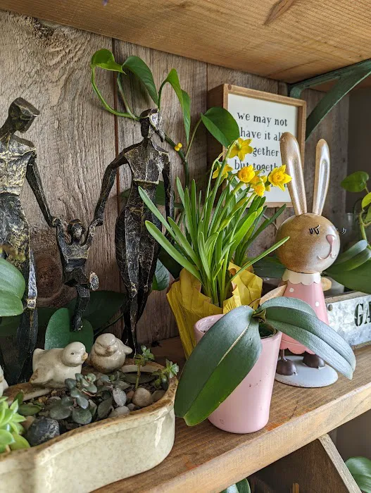 What a Bagel Cafe Picture 8