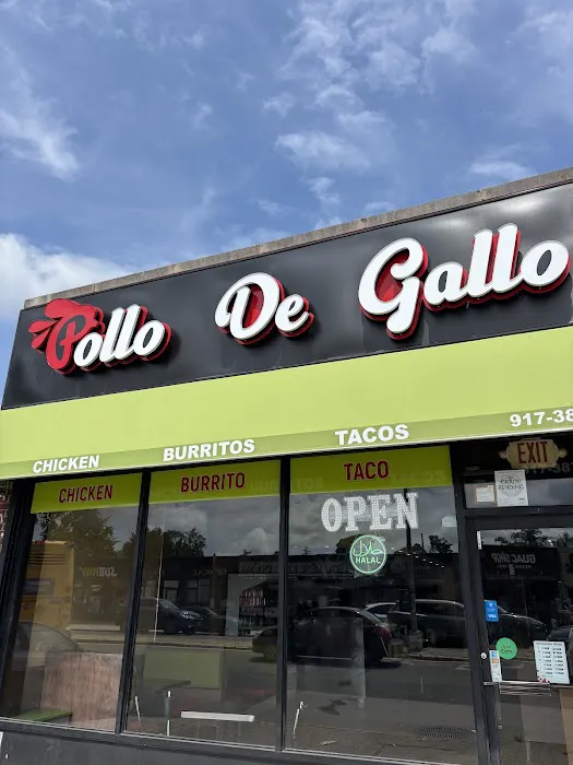 Pollo De Gallo Picture 5
