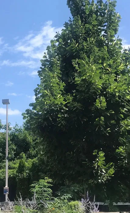 Spiro's food truck Picture 9