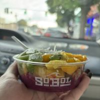 SoBol New Hyde Park ico