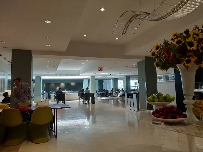 American Airlines/British Airways Lounges Terminal 8 Picture 10