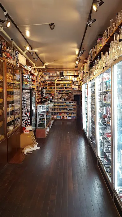Sonic Candy shop Picture 7