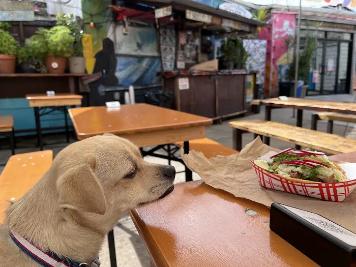 Tacoway Beach Picture 6